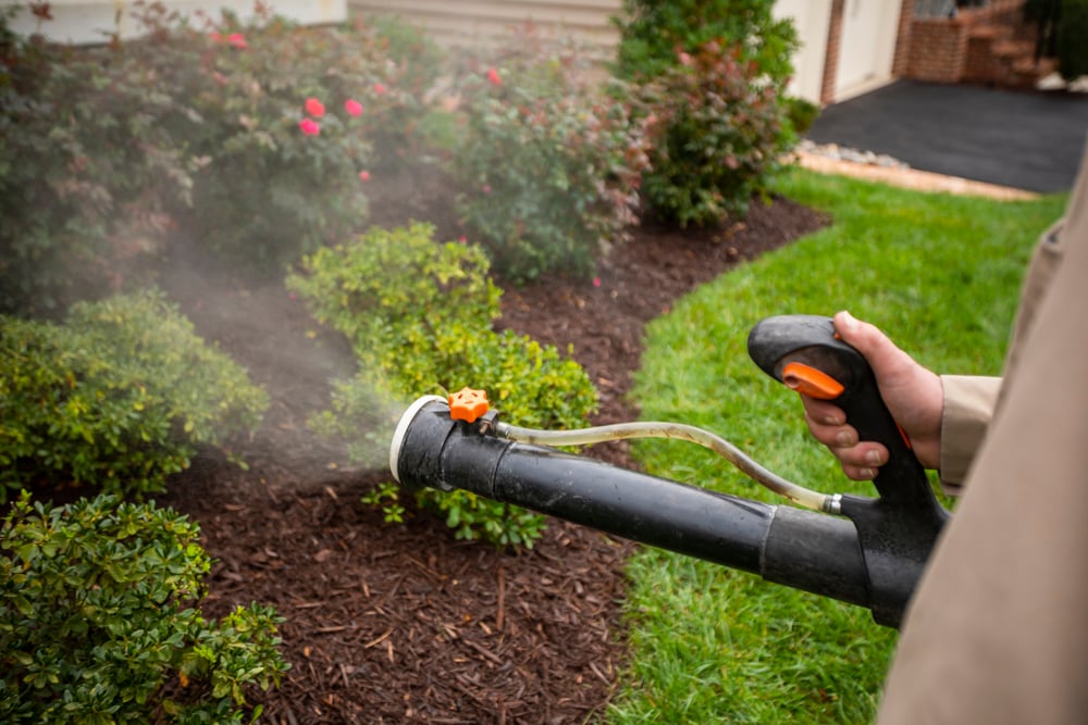 pest control team sprays landscape bed 