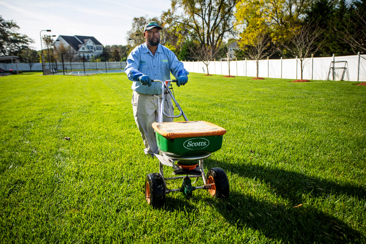 lawn care technician fertilizes grass