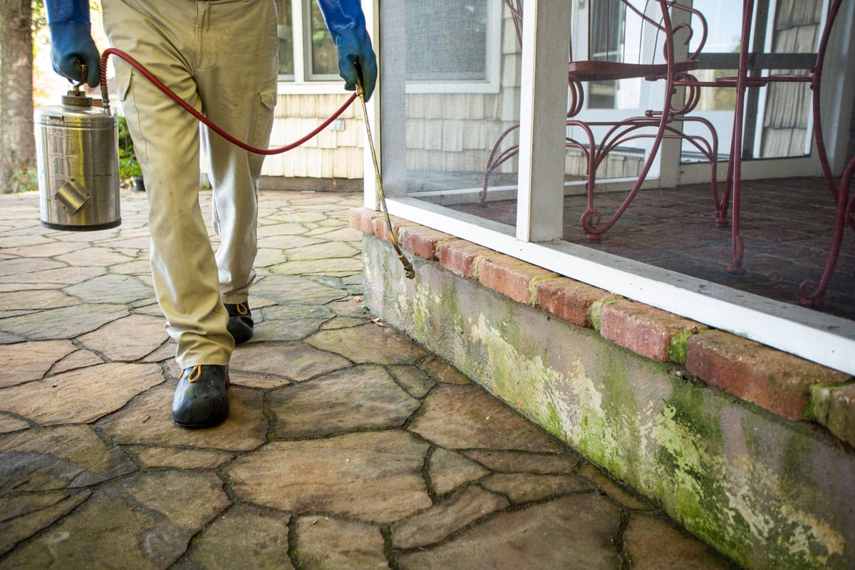 pest control technician sprays foundation