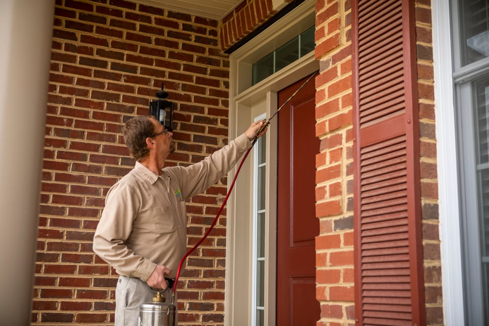 pest control expert sprays outside of home