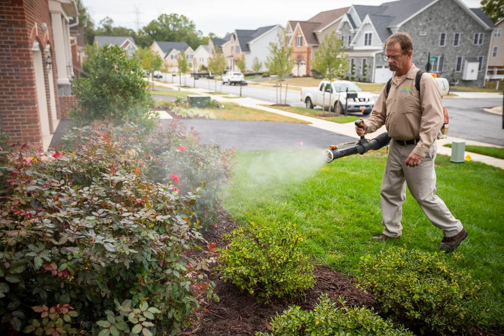 mosquito control professional spraying shrubs in Maryland