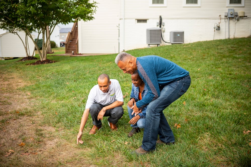 customer team inspection crabgrass 3