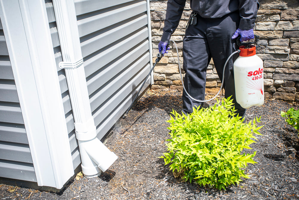 pest control technician sprays perimeter of home