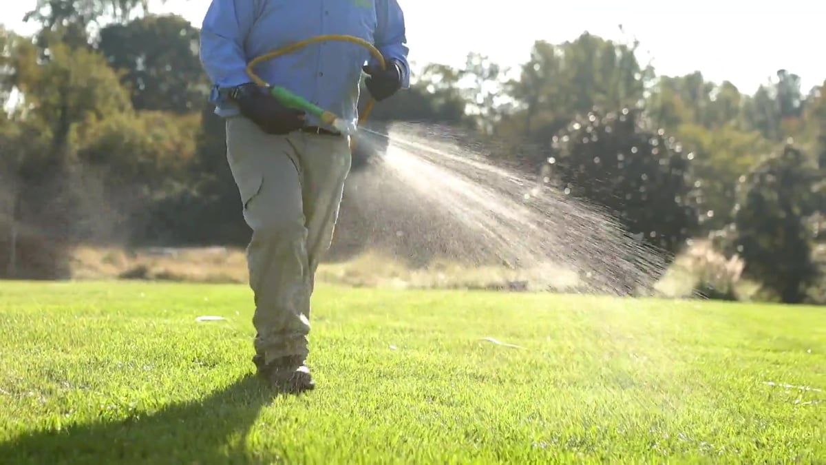 lawn care technician sprays lawn