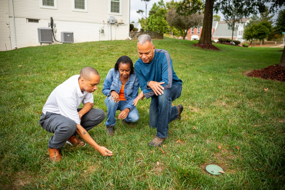 professional lawn care technician inspecting lawn