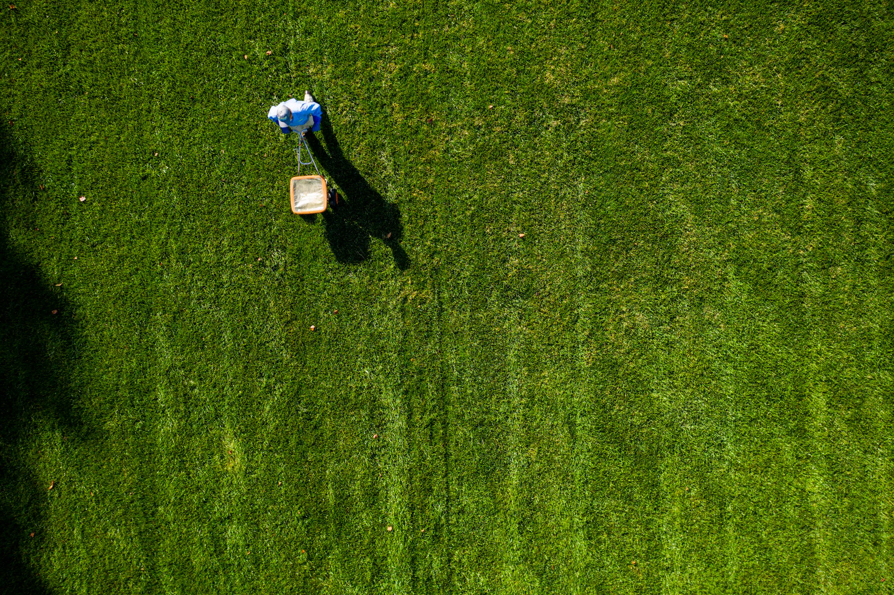 Lawn care technician fertilizing