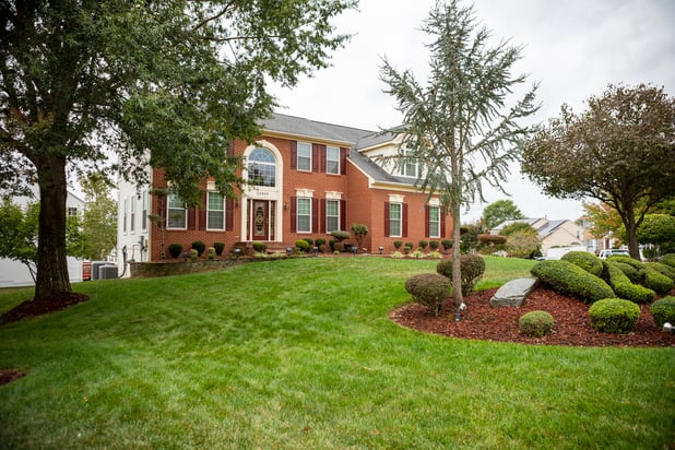 lawn with clean vegetation