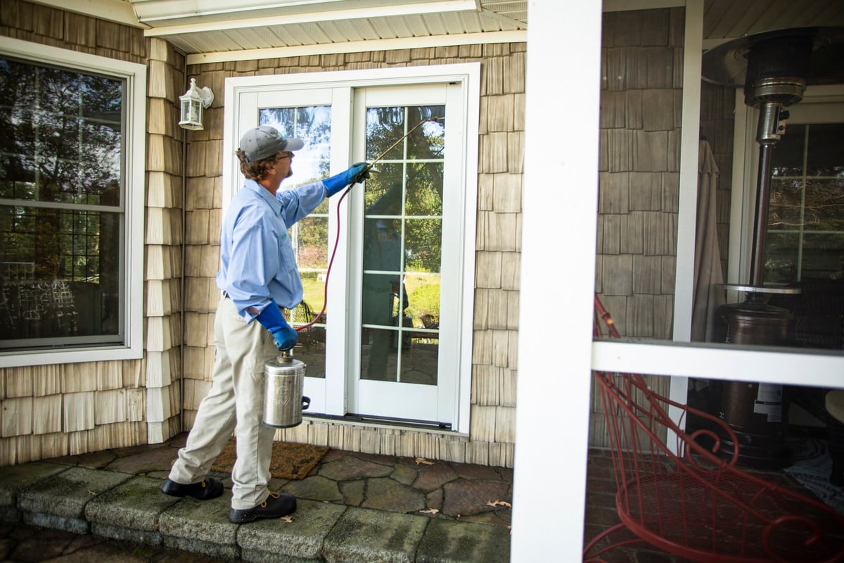 pest control expert sprays around door and window 