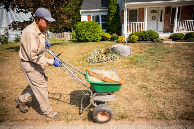 lawn technician seeding