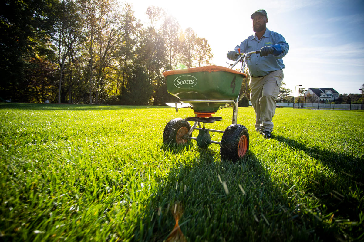 lawn care team fertilizes grass