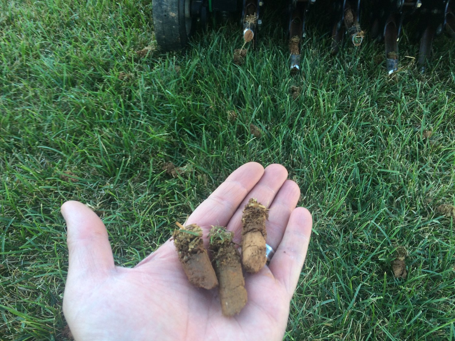 Core aeration soil plugs from an aerator