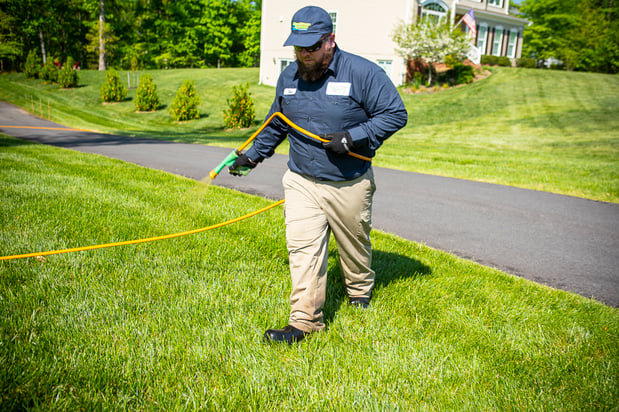 Lawn care technician spraying lawn 12