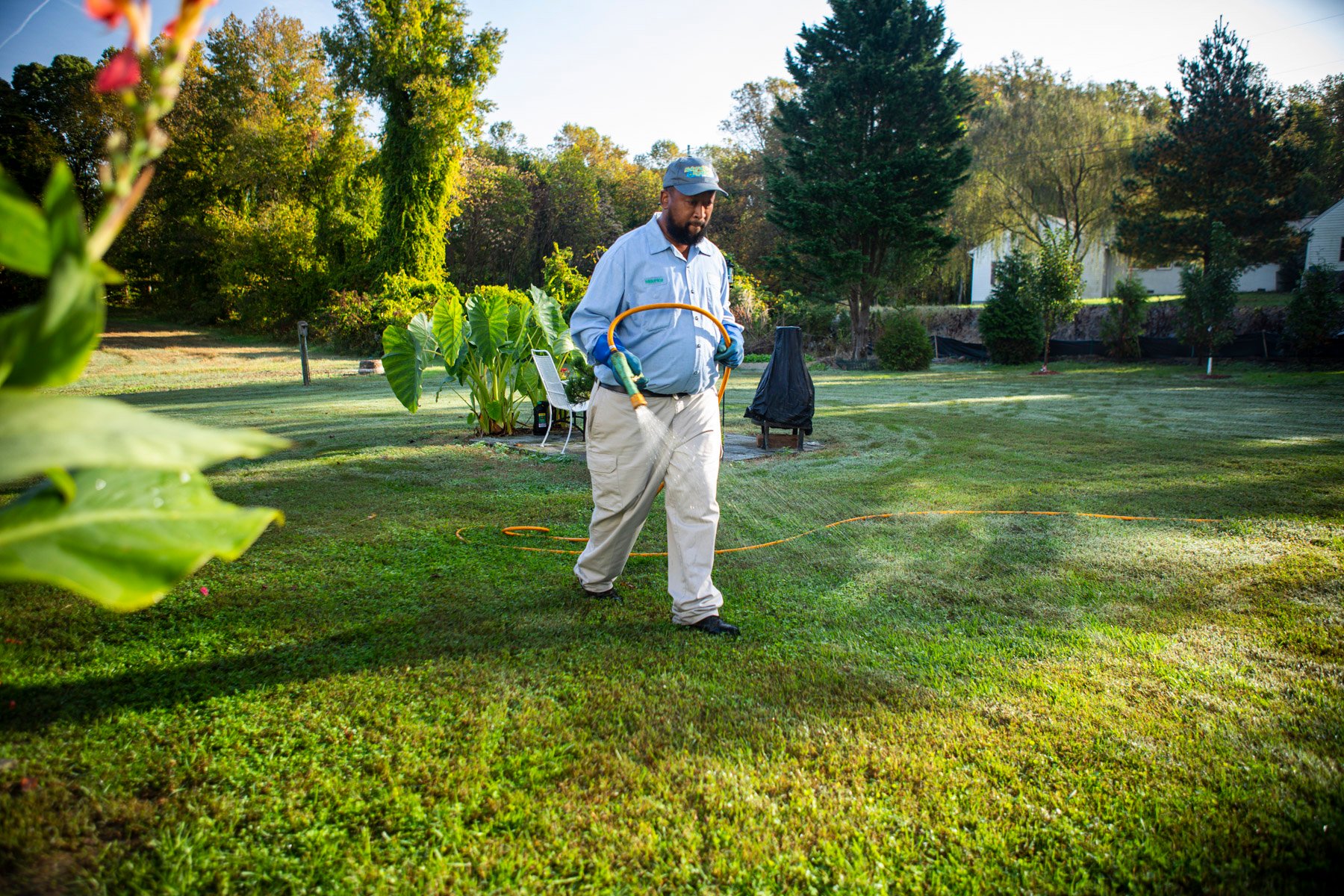 NaturalGreen technician applying liquid weed control