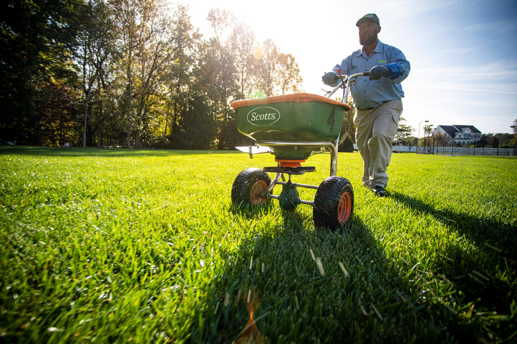 Proper fertilization can help prevent brown patch