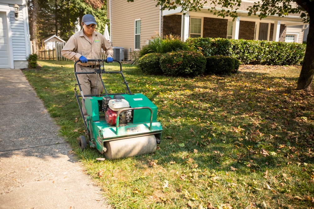 lawn aeration by professional