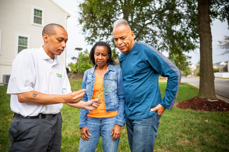 Natural Green lawn care technician inspecting weeds