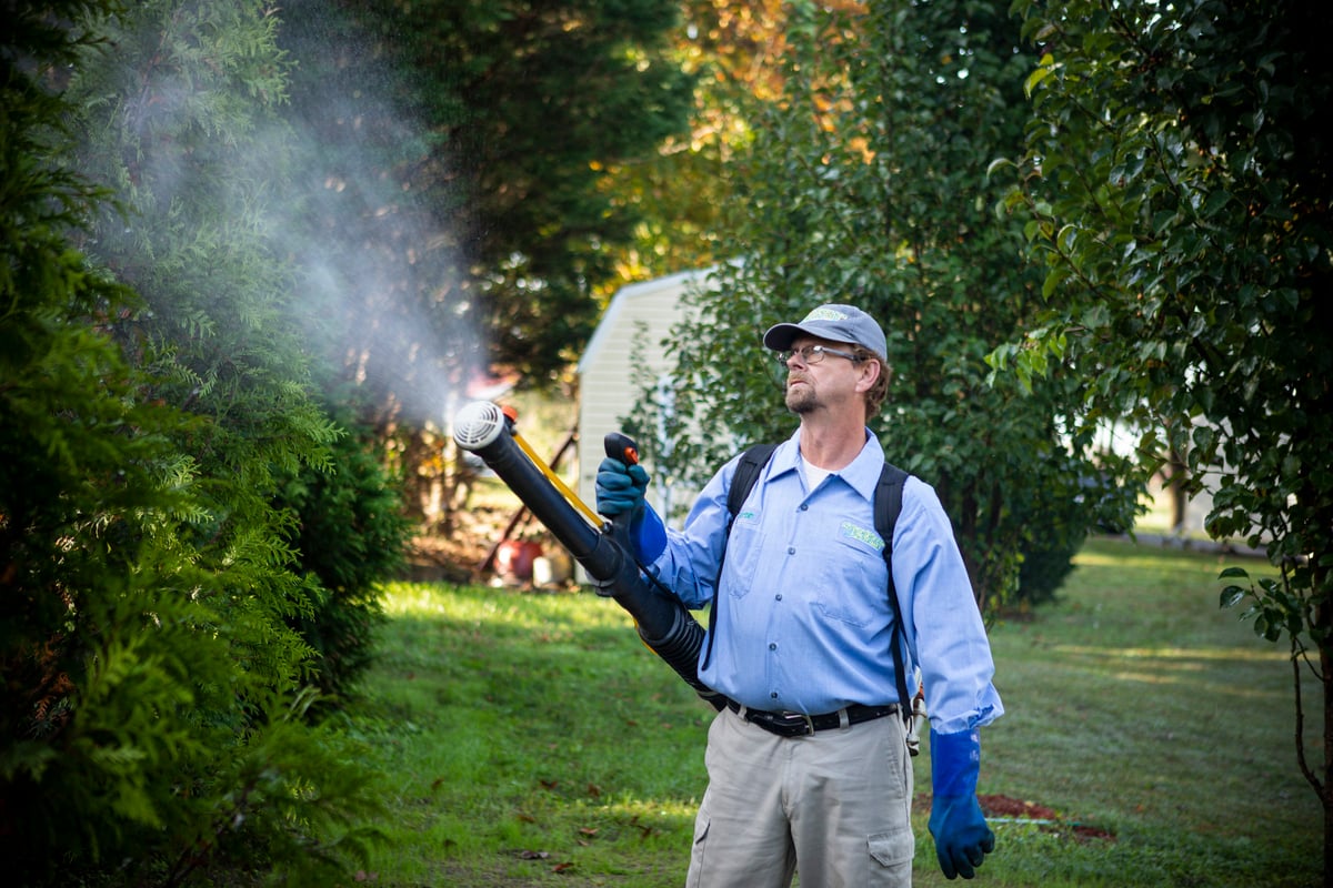 pest control technician sprays bushes 