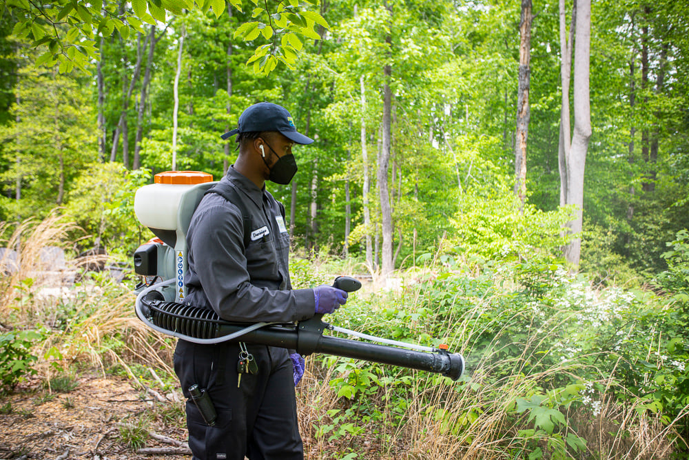 Pest control technician at natural green sprays for mosquitoes