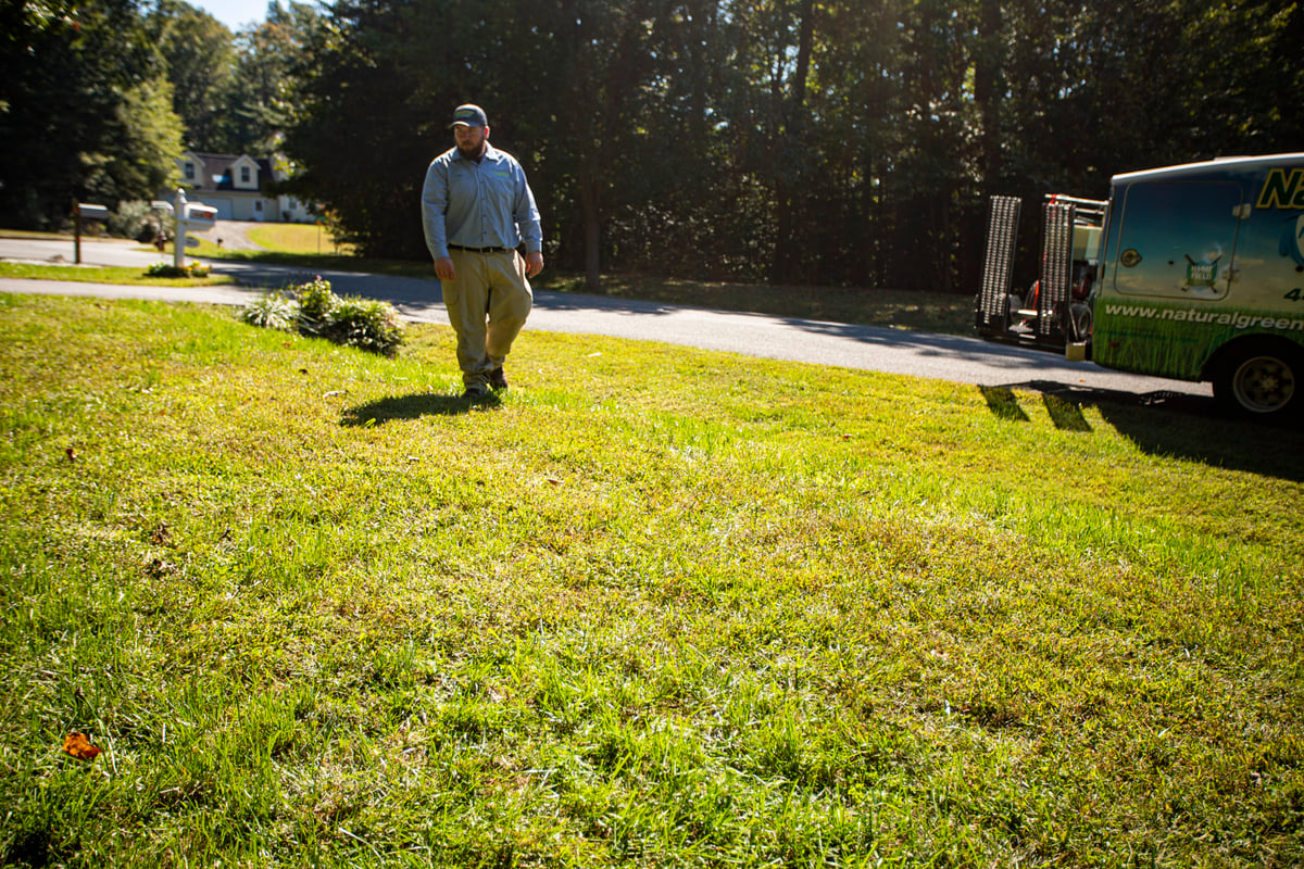 lawn care technician inspects turf