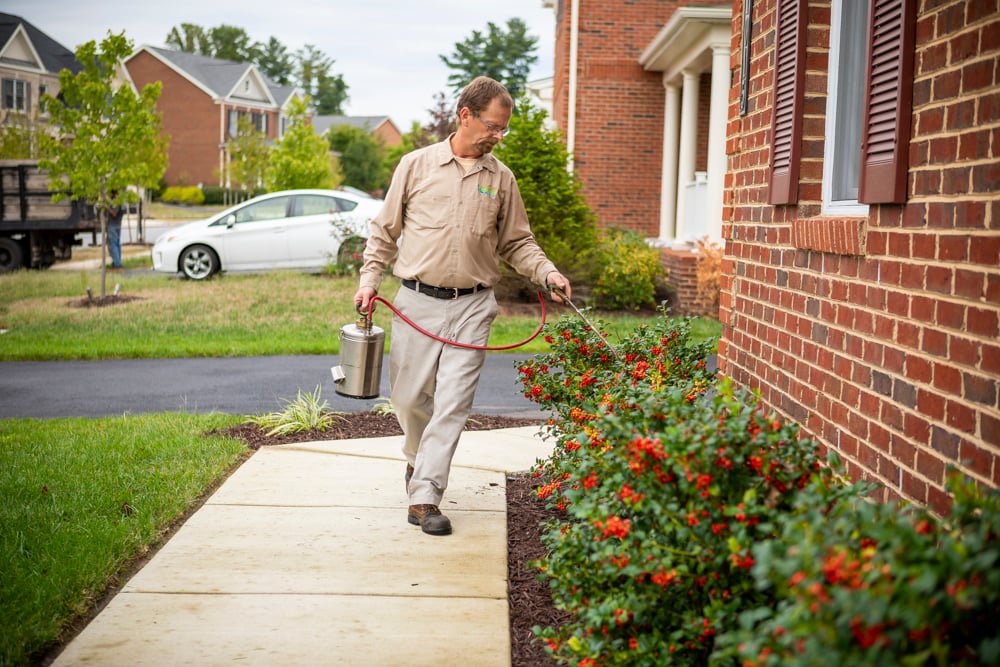 pest control expert sprays near home