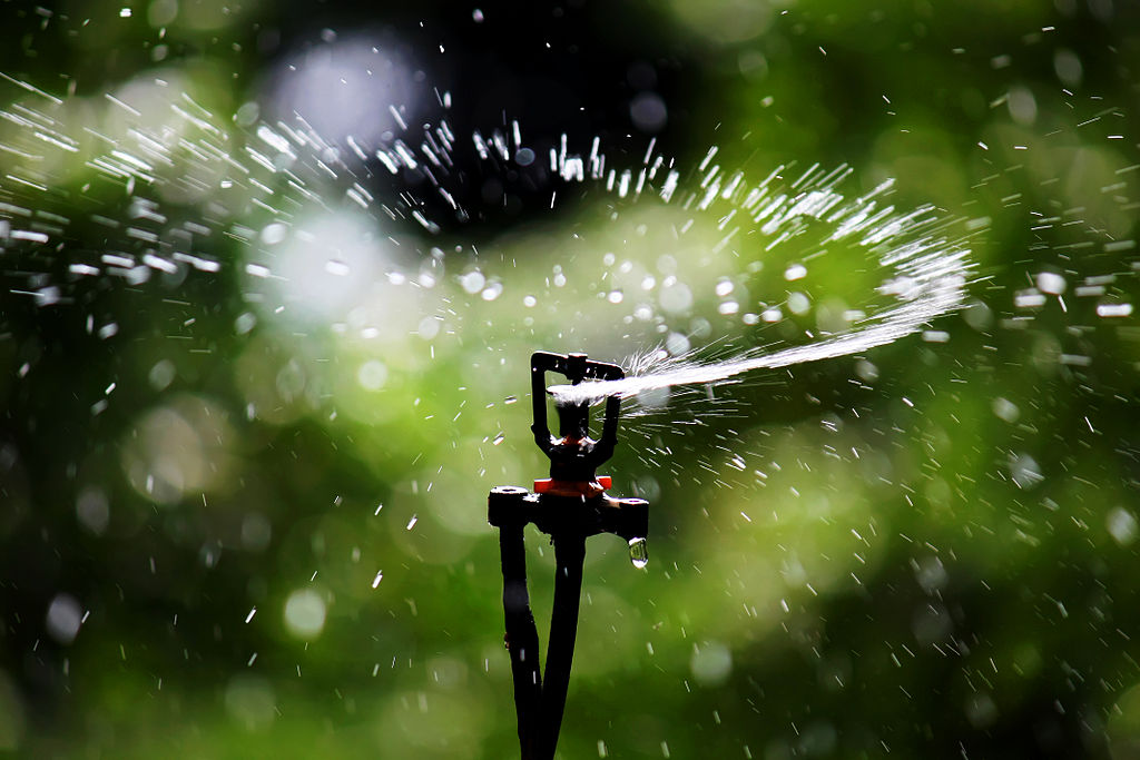 Sprinkler head waters grass