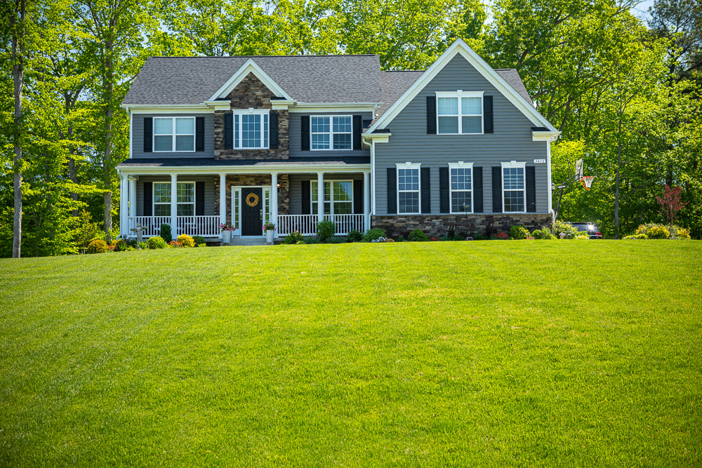 Nice lush green lawn