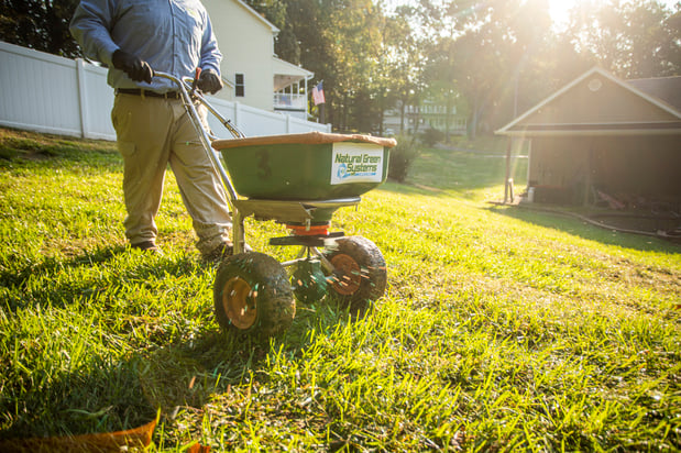 NaturalGreen crew technician granular fertilizer 7