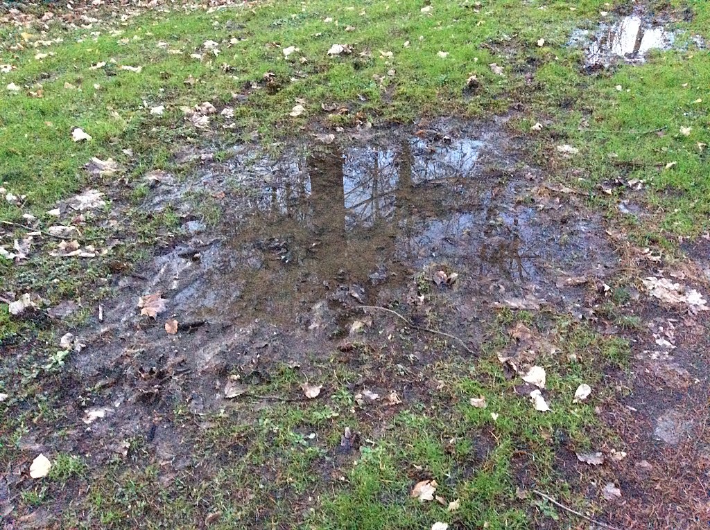 Standing water is a breeding ground for mosquitos