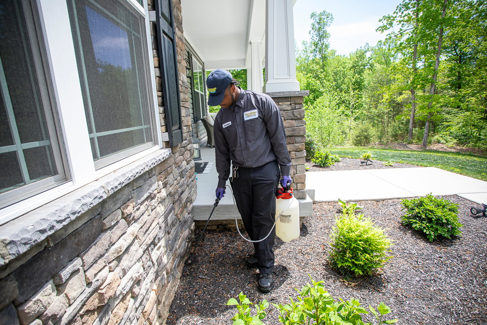 Pest control technician sprays at foundation of home