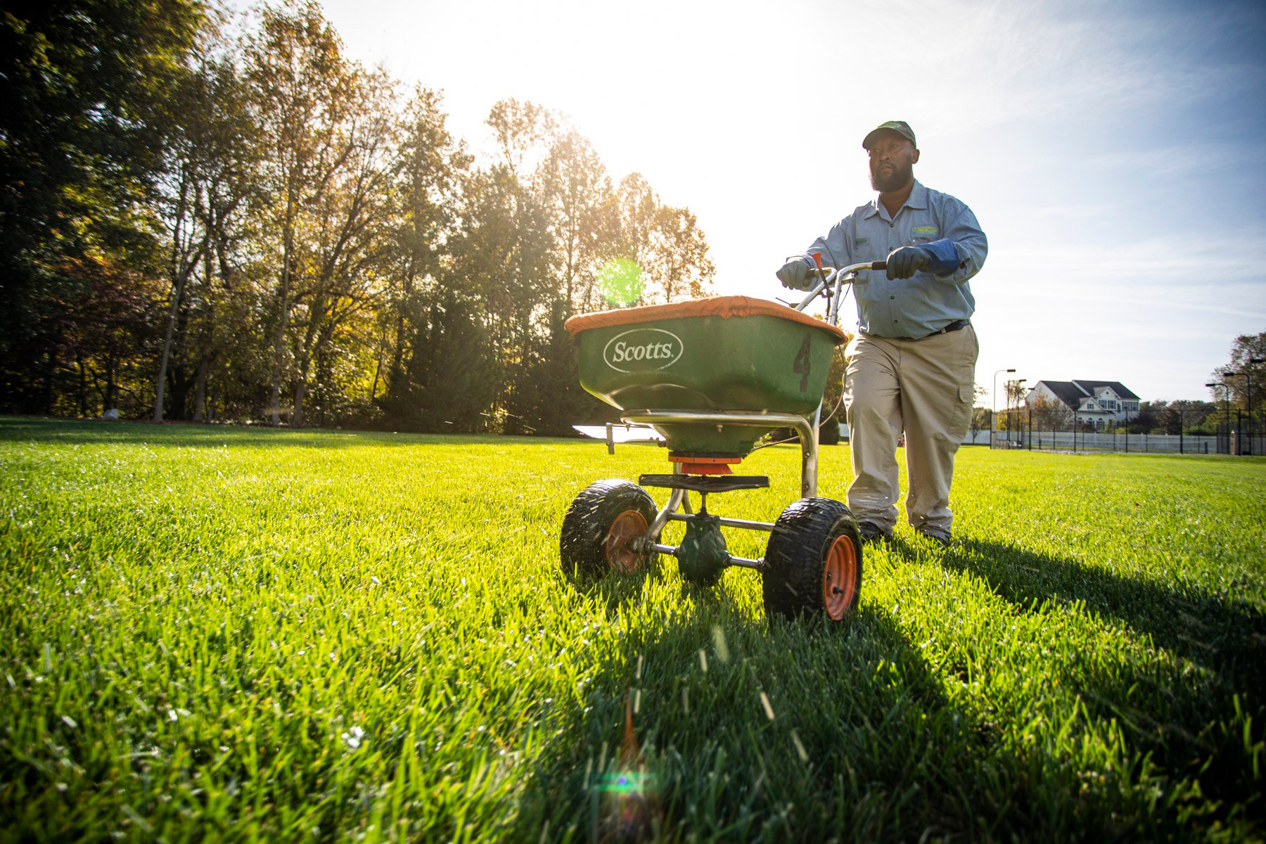 lawn fertilization