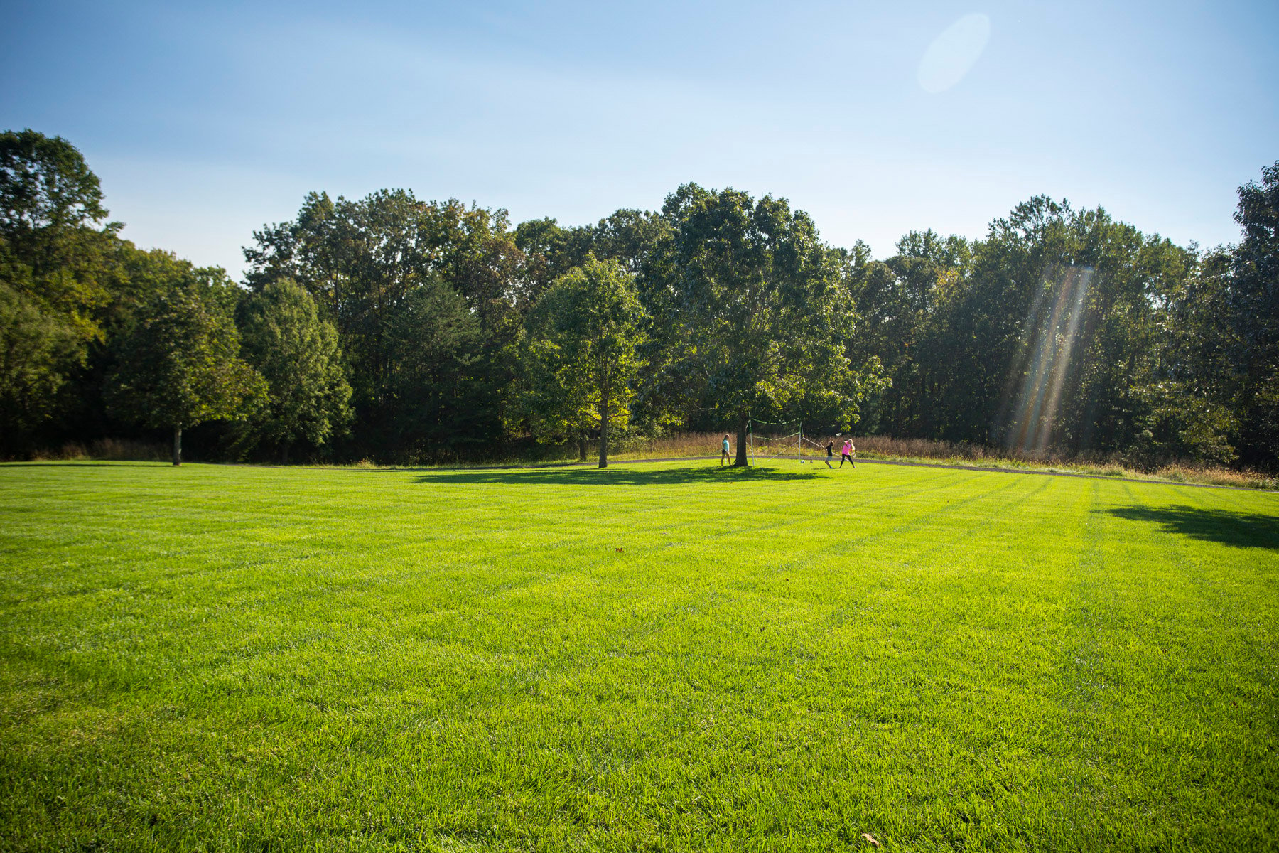 Nice lush green lawn