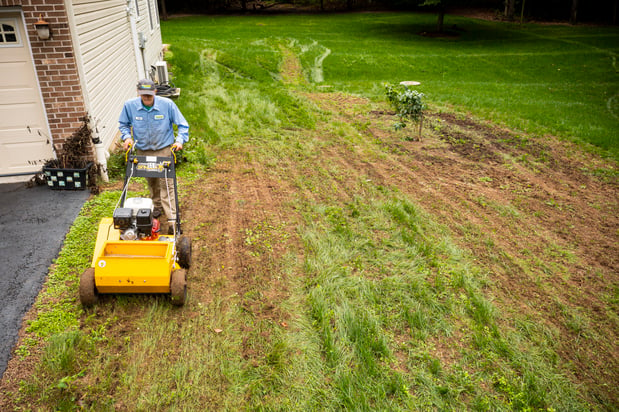 Lawn aeration in process