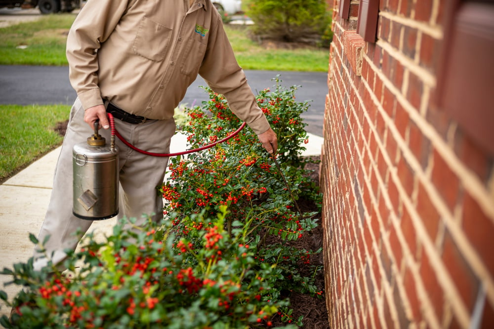 pest control technician sprays exterior of home