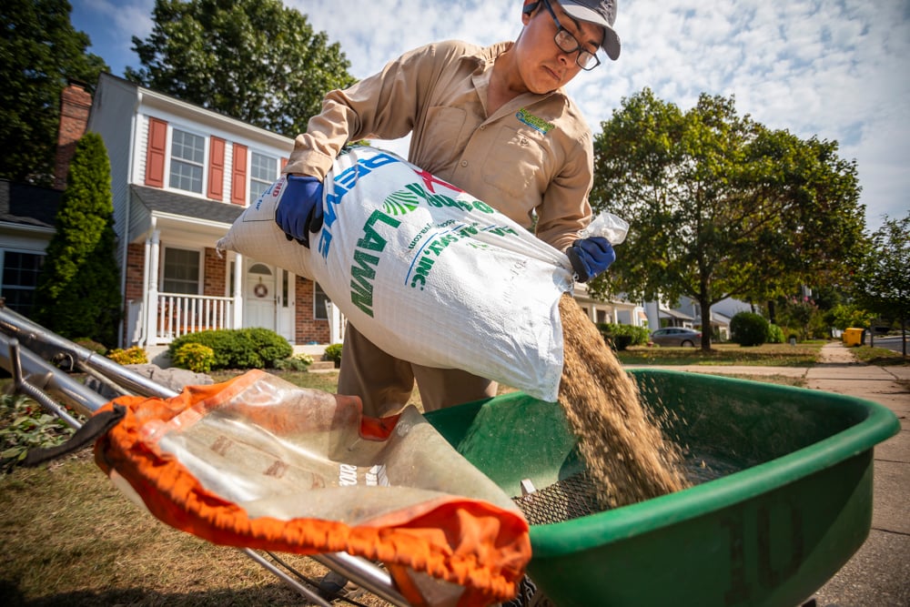 lawn care professional pours grass seed into spreader