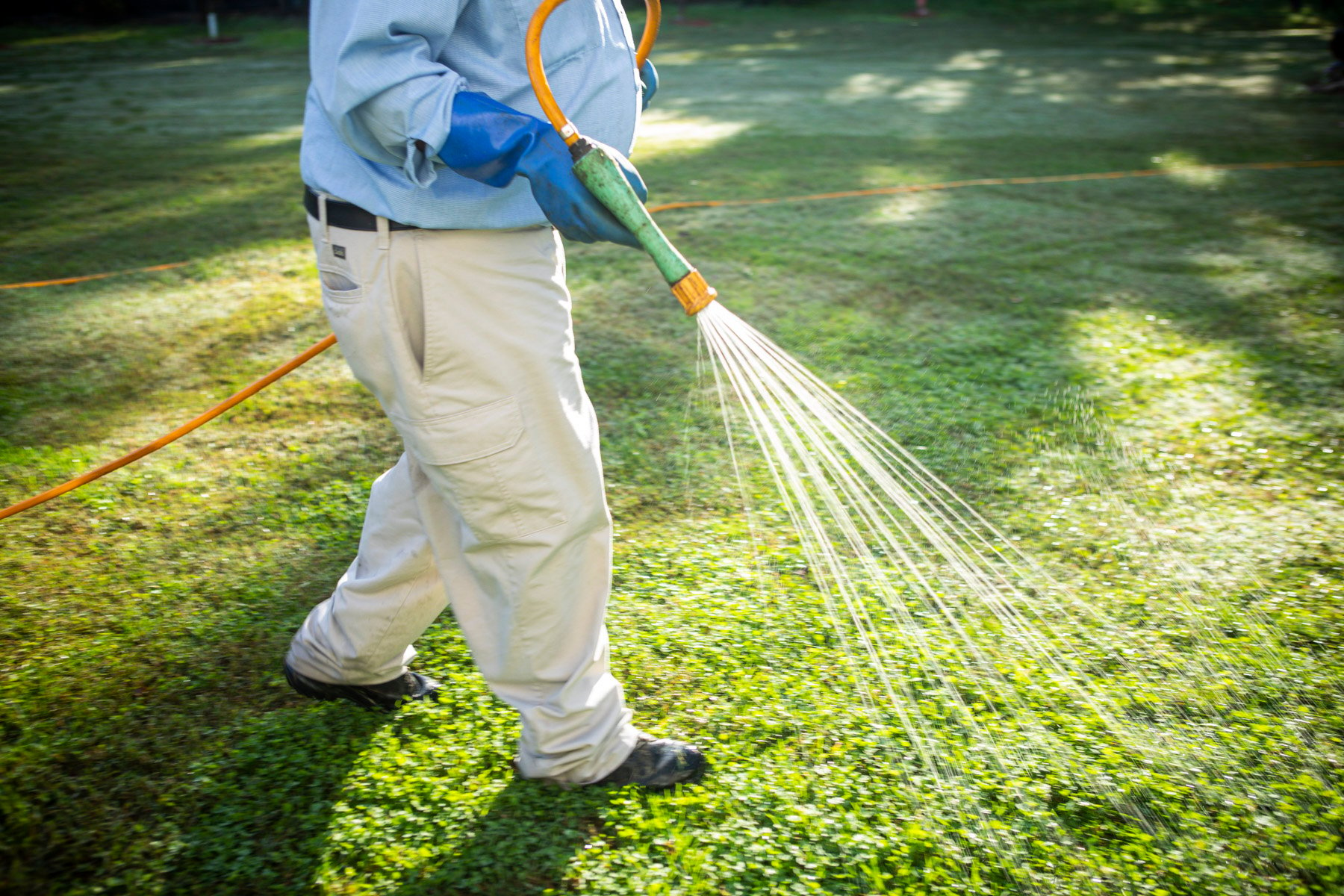 Lawn care technician spraying weed control