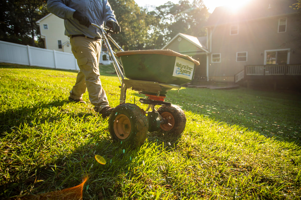 lawn care technician spreads fertilizer with pre-emergent weed control