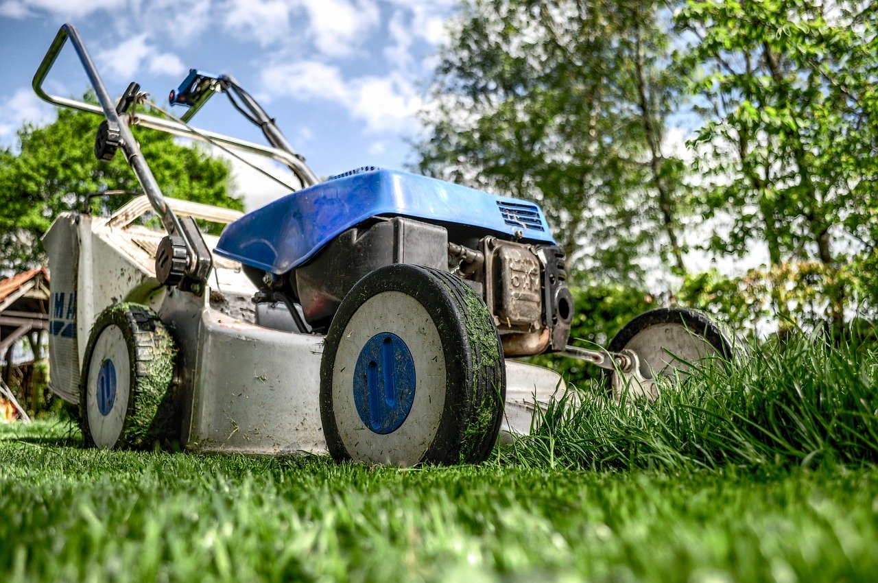 lawn mowing for tick, green grass