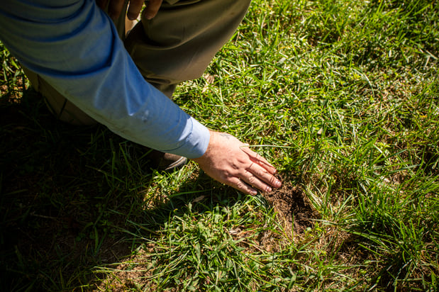 NaturalGreen lawn care technician crew inspection bare patches 2