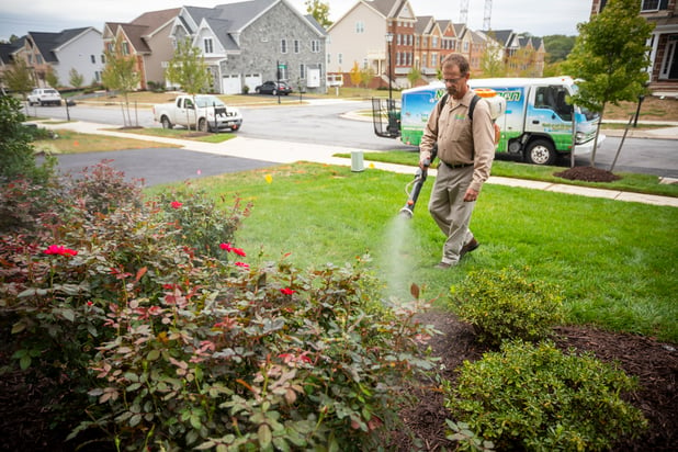 Pest control technician applying flea and tick control