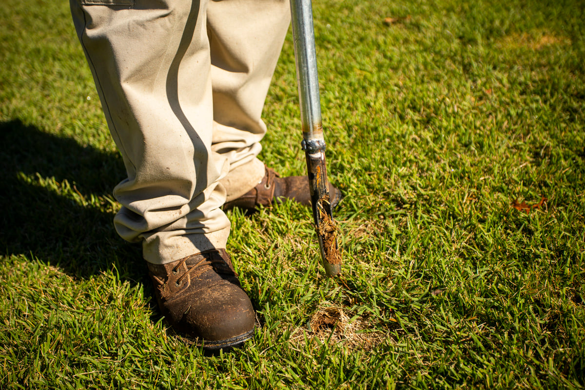 lawn care expert performs soil test