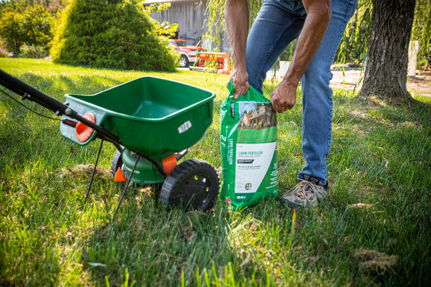 diy lawn care 2