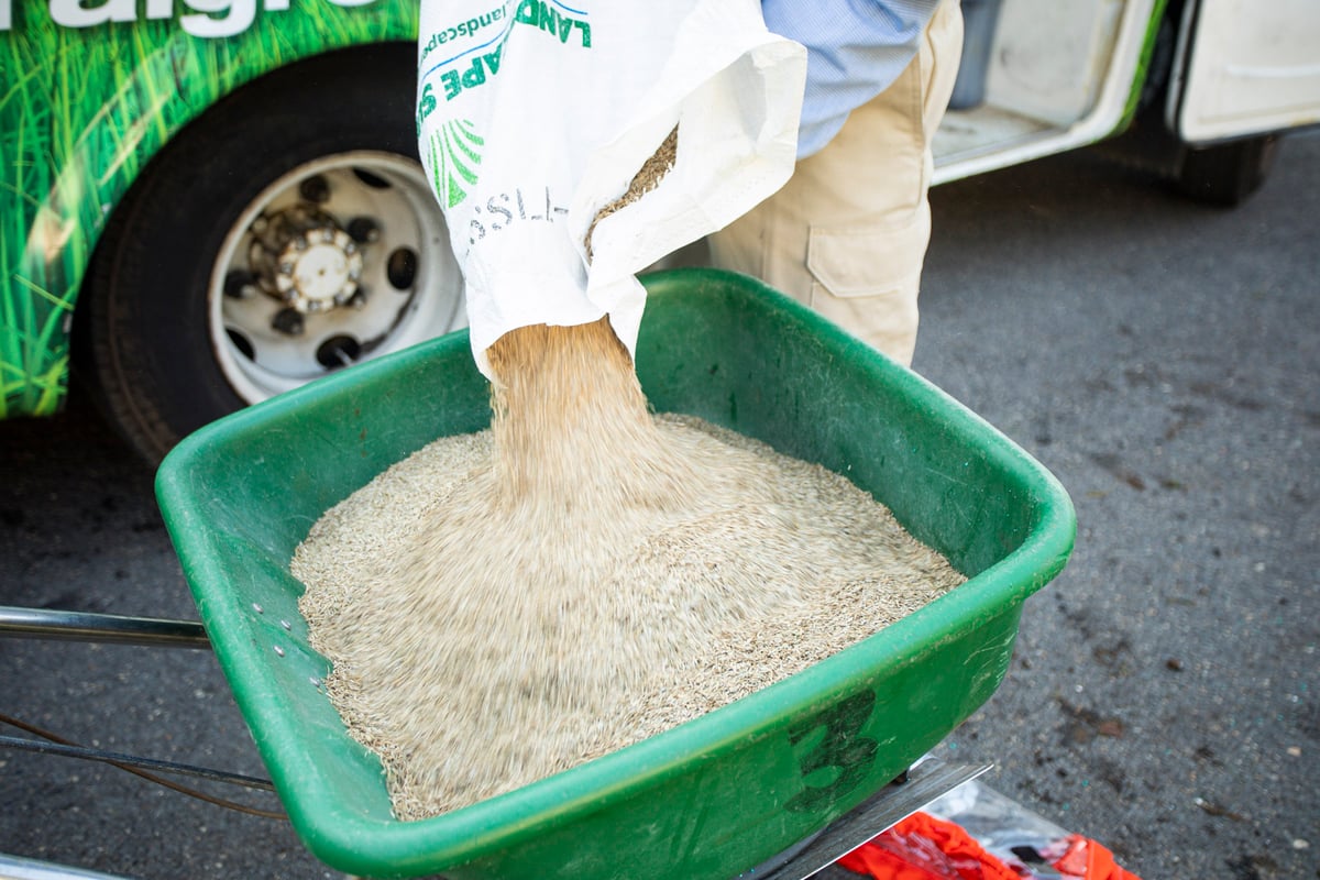 fall lawn overseeding and aeration