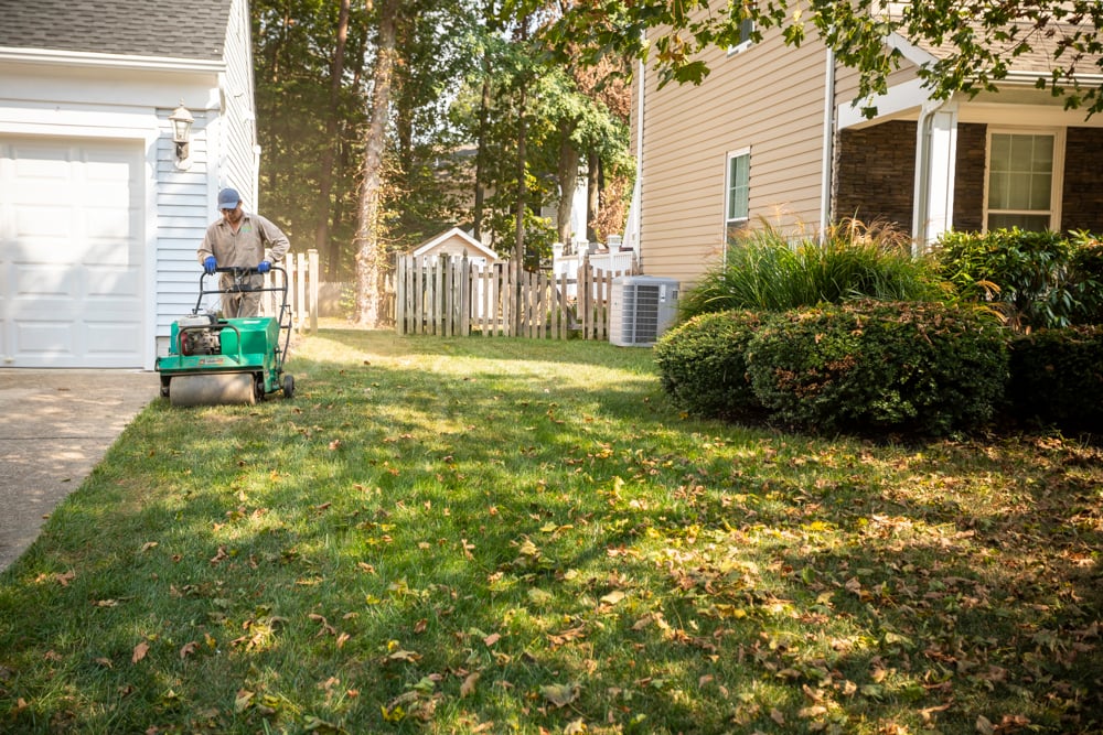 fall lawn aeration