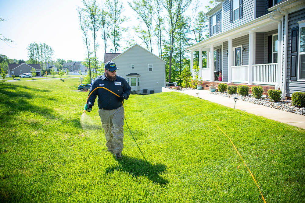 Lawn care technician spraying lawn