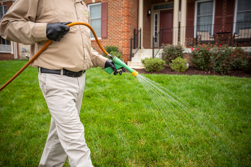 Professional lawn technician spraying for weeds