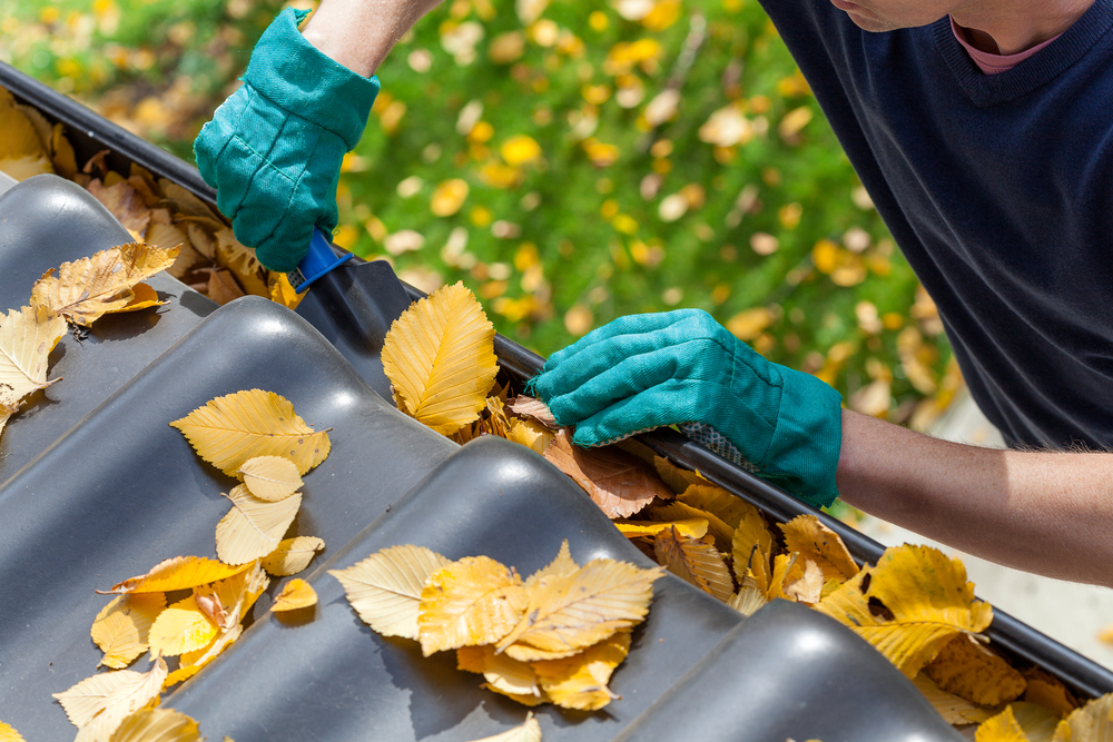 Gutter clean up to keep pests away